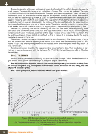 During the parade, which can last several hours, the female of the catfish deposits its eggs by
      small groups. The courtship is preceded by fighting of males. The couples are isolated. The male
      puts itself in U around the head of the female. The eggs and sperm are released; then, followed by
      movements of its tail, the female scatters eggs on an important surface. The couple rests several
      minutes after the spawning (Figure 181, p. 228). The partner fertilizes at the same time each group of
      eggs by releasing a cloud of milt above eggs. The eggs adhere finally to the submerged vegetation.
      In captivity, much of eggs are destroyed by the violence of the blows of tail. After the spawning time,
      the group of catfishes turns over out of deeper water. There is no parental protection for eggs. After
      a few weeks, the catfish produces a group of eggs again and prepares with a new spawning time.
          One second spawning time will be caused by the rains or a new flood. Several spawning times
      can follow one another thus the same year. The eggs hatch after 24 to 36 hours, according to the
      temperature of water. The larvae, destined for this stage vesicled larvae, hide in the vegetation. The
      fry and fingerlings of African catfish are difficult to find in nature. It is probably due to the strong
      mortality of eggs and the larvae.
          There is no parental care except the choice of the site of spawning. The development of eggs
      and the larvae is fast and the fingerlings are free 48 to 72 hours after fecundation (Figure 182 and
      Figure 183, p. 229). The fingerlings remain in the flooded zones and will migrate when they reach 1.5
      to 2.5 cm length.
          For Heterobranchus longifilis, the eggs are with a broad adhesive disc. Their incubation is car-
      ried out in stagnant water and with the darkness. To 27 - 29°C, the hatching occurs 24 to 28h after
      fecundation.
                                       III.1.4. THE GROWTH
          Growth rates appeared very promising. Thus all the studies on large Clarias and Heterobranchus
      give almost linear growth beyond the age of one year (Figure 184 below).
          For Heterobranchus longifilis,	the	fish	reached	on	average	900	g	in	6	months	starting	from	
      an average weight of 25 g, during tests in freshwater ponds. Between 100 and 500 g, the rate
      of growth exceed 5 g/day.
                                       For Clarias gariepinus,	the	fish	reached	500	to	1000	g	in	8	months.



                                      140                                                                                        800
                                                                                                              Ln
                                      130                                                                                                                            Hl
                                                                                                                                 700
                                      120
      Standard or total length (cm)




                                      110                                             Cg
                                                                                                                                 600
                                      100
                                                                                            Hl
                                                                                                               Body weitgh (g)




                                       90                                                                                        500
                                       80
                                       70                                                                                        400                                 Cg
                                                        Cs               Cg
                                       60
                                                                                                                                 300
                                       50
                                       40
                                                                                                                                 200
                                       30
                                       20                                                                                        100
                                       10                                                                                        50
                                       0                                                                                          0
                                            0   1   2   3    4   5   6   7    8   9 10 11 12 13 14 15 16 17                            10 28 56 84 112 140 168 196 224 254
                                                                             Age (years)                                                              Days

                                                         Figure 184. Compared	growth	of	several	African	fish	species.	
                                                                A: According the size; B: According the weight.
                                                Cs: Clarias senegalensis; Cg: Clarias gariepinus; Hl: Heterobranchus longifilis;
                                                                              Ln: Lates niloticus.



230           Subsistence fishfarming in Africa
 