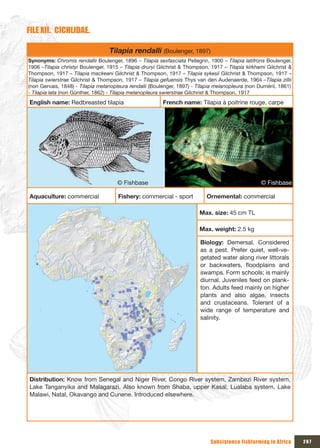 FILE xII. CICHLIDAE.

                                  Tilapia rendalli (Boulenger, 1897)
Synonyms: Chromis rendallii Boulenger, 1896 – Tilapia sexfasciata Pellegrin, 1900 – Tilapia latifrons Boulenger,
1906 –Tilapia christyi Boulenger, 1915 – Tilapia druryi Gilchrist & Thompson, 1917 – Tilapia kirkhami Gilchrist &
Thompson, 1917 – Tilapia mackeani Gilchrist & Thompson, 1917 – Tilapia sykesii Gilchrist & Thompson, 1917 –
Tilapia swierstrae Gilchrist & Thompson, 1917 – Tilapia gefuensis Thys van den Audenaerde, 1964 –Tilapia zillii
(non Gervais, 1848) - Tilapia melanopleura rendalli (Boulenger, 1897) - Tilapia melanopleura (non Duméril, 1861)
- Tilapia lata (non Günther, 1862) - Tilapia melanopleura swierstrae Gilchrist & Thompson, 1917
English name: Redbreasted tilapia                        French name: Tilapia à poitrine rouge, carpe




                                      © Fishbase                                                   © Fishbase

Aquaculture: commercial               Fishery: commercial - sport           Ornemental: commercial

                                                                         Max. size: 45 cm TL

                                                                         Max. weight: 2.5 kg

                                                                         Biology: Demersal. Considered
                                                                         as a pest. Prefer quiet, well-ve-
                                                                         getated water along river littorals
                                                                         or backwaters, floodplains and
                                                                         swamps. Form schools; is mainly
                                                                         diurnal. Juveniles feed on plank-
                                                                         ton. Adults feed mainly on higher
                                                                         plants and also algae, insects
                                                                         and crustaceans. Tolerant of a
                                                                         wide range of temperature and
                                                                         salinity.




Distribution: Know from Senegal and Niger River, Congo River system, Zambezi River system,
Lake Tanganyika and Malagarazi. Also known from Shaba, upper Kasaï, Lualaba system, Lake
Malawi, Natal, Okavango and Cunene. Introduced elsewhere.




                                                                              Subsistence fishfarming in Africa     267
 