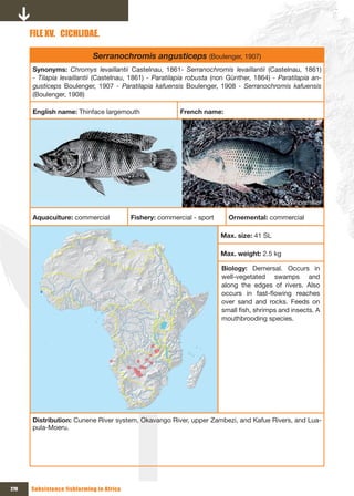 FILE xV. CICHLIDAE.

                            Serranochromis angusticeps (Boulenger, 1907)
      Synonyms: Chromys levaillantii Castelnau, 1861- Serranochromis levaillantii (Castelnau, 1861)
      - Tilapia levaillantii (Castelnau, 1861) - Paratilapia robusta (non Günther, 1864) - Paratilapia an-
      gusticeps Boulenger, 1907 - Paratilapia kafuensis Boulenger, 1908 - Serranochromis kafuensis
      (Boulenger, 1908)

      English name: Thinface largemouth                   French name:




                                                                                           © K. Winnemiller

      Aquaculture: commercial             Fishery: commercial - sport     Ornemental: commercial

                                                                        Max. size: 41 SL

                                                                        Max. weight: 2.5 kg

                                                                        Biology: Demersal. Occurs in
                                                                        well-vegetated swamps and
                                                                        along the edges of rivers. Also
                                                                        occurs in fast-flowing reaches
                                                                        over sand and rocks. Feeds on
                                                                        small fish, shrimps and insects. A
                                                                        mouthbrooding species.




      Distribution: Cunene River system, Okavango River, upper Zambezi, and Kafue Rivers, and Lua-
      pula-Moeru.




270   Subsistence fishfarming in Africa
 