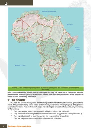 Mediterranean Sea




                                                                                       Red Sea




                                                                                                   Indian
                                                                                                   Ocean




              Atlantic Ocean




           Figure 7. The ichthyoregions (limits in yellow-green) and the countries (limits in red)
                                                 (Faunafri).
     particular in Ivory Coast, on the basis of their appreciation by the zootechnical consumers and their
     performances. The biological cycle of some of them is now completely controlled, which allowed the
     starter of their fishfarming production.

     II.1. THE CICHLIDAE
          In Africa, the species mainly used in fishfarming are fish of the family of Cichlidae, group of Tila-
     piines. They are commonly called tilapia and are mainly herbivorous / microphagous. They practice
     parental care. Called “water chickens”, tilapia have biological characteristics particularly interesting
     for fishfarming:
          9 They have a good growth rate even with a food containing few proteins;I
          9 They tolerate a broad range of environmental conditions (oxygenation, salinity of water…);
          9 They reproduce easily in captivity and are not very sensitive to handling;
          9 They are very resistant to the parasitic diseases and infections;



22   Subsistence fishfarming in Africa
 