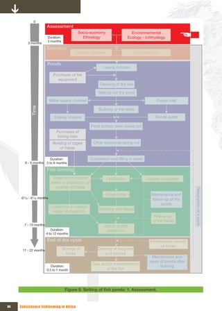 0
                       Assessment
                                            Socio-economy                         Environnemental
                       Duration:              Ethnology                         Ecology - Ichthyology
                       3 months
          3 months
                       Selection
                                           Villages selection                      Sites selection

                       Ponds
                                                            Laying out plan
                             Purchases of the 
                               equipment
                                                          Cleaning of the site

                                                          Staking out the pond

                           Water supply channel                                                 Ponds inlet
            Time




                                                          Building of the dikes

                             Drainig channel                                                   Ponds outlet

                                                      Pond bottom drain laying out
                               Purchases of 
                                fishing nets
                            Building of cages          Other structures laying out
                                or hapas

                        Duration:                    Completion and filling in water
        6 - 9 months 3 to 6 months

                       Fish farming
                             Collection in natural              Fertilization             Outside composter
                            water or production of 
                              juvenils of tilapia

      61/4 - 91/4 months
                                                            « Green water »                  Maintenance and         Resumption of a cycle
                                                                                             follow-up of the 
                                                                                                  ponds
                            Collection in natural 
                                                          Stocking with tilapia
                            water of predators
                                                                                               Follow-up 
                                                                                              of the fishes
       7 - 10 months                                         Stocking with 
                          Duration:                            predators
                       4 to 12 months

                       End of the cycle                                                     Intermediate harvest 
                                                                                                  of fishes
      11 - 22 months               Storage of            Draining of the pond 
                                     fishes                  and harvest
                                                                                              Maintenance and 
                                                                                            repair of ponds after 
                                                      Sale andor transformation 
                          Duration:                                                                draining
                       0.5 to 1 month                         of the fish




                                    Figure 9. Setting	of	fish	ponds:	1.	Assessment.



34   Subsistence fishfarming in Africa
 