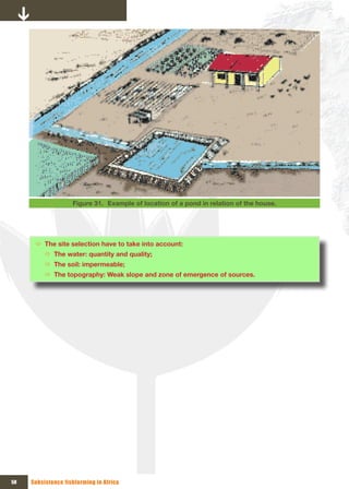 Figure 31. Example of location of a pond in relation of the house.




      Ö The site selection have to take into account:
          Ö The water: quantity and quality;
          Ö The soil: impermeable;
          Ö The topography: Weak slope and zone of emergence of sources.




58   Subsistence fishfarming in Africa
 