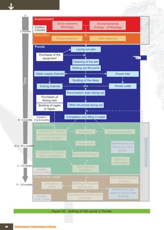 0
                          Assessment
                                               Socio-economy                         Environnemental
                          Duration:              Ethnology                         Ecology - Ichthyology
                          3 months
          3 months
                          Selection
                                              Villages selection                      Sites selection

                          Ponds
                                                              Laying out plan
                              Purchases of the 
                                equipment
                                                            Cleaning of the site

                                                           Staking out the pond

                           Water supply channel                                                    Ponds inlet
            Time




                                                           Building of the dikes

                               Drainig channel                                                    Ponds outlet

                                                       Pond bottom drain laying out
                                Purchases of 
                                 fishing nets
                             Building of cages          Other structures laying out
                                 or hapas

                        Duration:                     Completion and filling in water
        6 - 9 months 3 to 6 months

                          Fish farming
                             Collection in natural                 Fertilization             Outside composter
                            water or production of 
                              juvenils of tilapia

     61/4 - 91/4 months
                                                              « Green water »                   Maintenance and         Resumption of a cycle
                                                                                                follow-up of the 
                                                                                                     ponds
                             Collection in natural 
                                                           Stocking with tilapia
                             water of predators
                                                                                                  Follow-up 
                                                                                                 of the fishes
       7 - 10 months                                           Stocking with 
                          Duration:                              predators
                       4 to 12 months

                          End of the cycle                                                     Intermediate harvest 
                                                                                                     of fishes
      11 - 22 months                  Storage of           Draining of the pond 
                                        fishes                 and harvest
                                                                                                 Maintenance and 
                                                                                               repair of ponds after 
                                                        Sale andor transformation 
                             Duration:                                                                draining
                          0.5 to 1 month                        of the fish



                                           Figure 32. Setting	of	fish	pond:	3.	Ponds.



60   Subsistence fishfarming in Africa
 