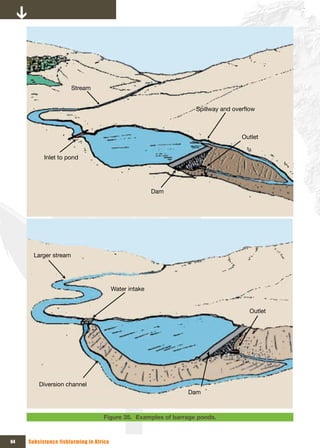 Stream


                                                                 Spillway and overflow



                                                                                 Outlet


           Inlet to pond




                                                        Dam




       Larger stream




                                         Water intake


                                                                                    Outlet




         Diversion channel
                                                              Dam



                                   Figure 35. Examples of barrage ponds.



64   Subsistence fishfarming in Africa
 