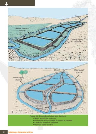 Stream




               Natural diversion 
                   channel




                                                                                           Water supply 
                                                                                             channel




        A



                                                                 Stream                     Water supply 
                                                                                              channel


             Water supply 
               channel




                                           Diversion 
                                           channel

         B
                                    Figure 46. Examples	of	diversion	fishfarm.	
                                        •	Water	supply	by	a	stream
                                        •	One	(A)	or	two	(B)	row(s)	of	ponds	in	parallel
                                        •	A	natural	diversion	channel
                                        •	Optimal	water	control



72   Subsistence fishfarming in Africa
 