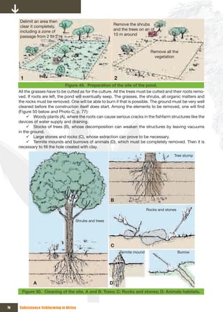 Delimit an area then  
                                                            Remove the shrubs 
     clear it completely, 
                                                            and the trees on an of 
     including a zone of 
                                                            10 m around
     passage from 2 to 3 m


                                                                                  Remove all the 
                                                                                    vegetation




      1                                                     2
                                 Figure 49. Preparation of the site of the pond.
     All the grasses have to be cutted as for the culture. All the trees must be cutted and their roots remo-
     ved. If roots are left, the pond will eventually seep. The grasses, the shrubs, all organic matters and
     the rocks must be removed. One will be able to burn if that is possible. The ground must be very well
     cleaned before the construction itself does start. Among the elements to be removed, one will find
     (Figure 50 below and Photo C, p. 77):
          9 Woody plants (A), where the roots can cause serious cracks in the fishfarm structures like the
     devices of water supply and draining.
          9 Stocks of trees (B), whose decomposition can weaken the structures by leaving vacuums
     in the ground.
          9 Large stones and rocks (C), whose extraction can prove to be necessary.
          9 Termite mounds and burrows of animals (D), which must be completely removed. Then it is
     necessary to fill the hole created with clay.

                                                                                              Tree stump




                                                        B
                                                                                Rocks and stones

                                     Shrubs and trees




                                                        C
                                                                Termite mound                      Burrow




             A                                          D
      Figure 50. Cleaning of the site. A and B: Trees; C: Rocks and stones; D: Animals habitats.


76   Subsistence fishfarming in Africa
 