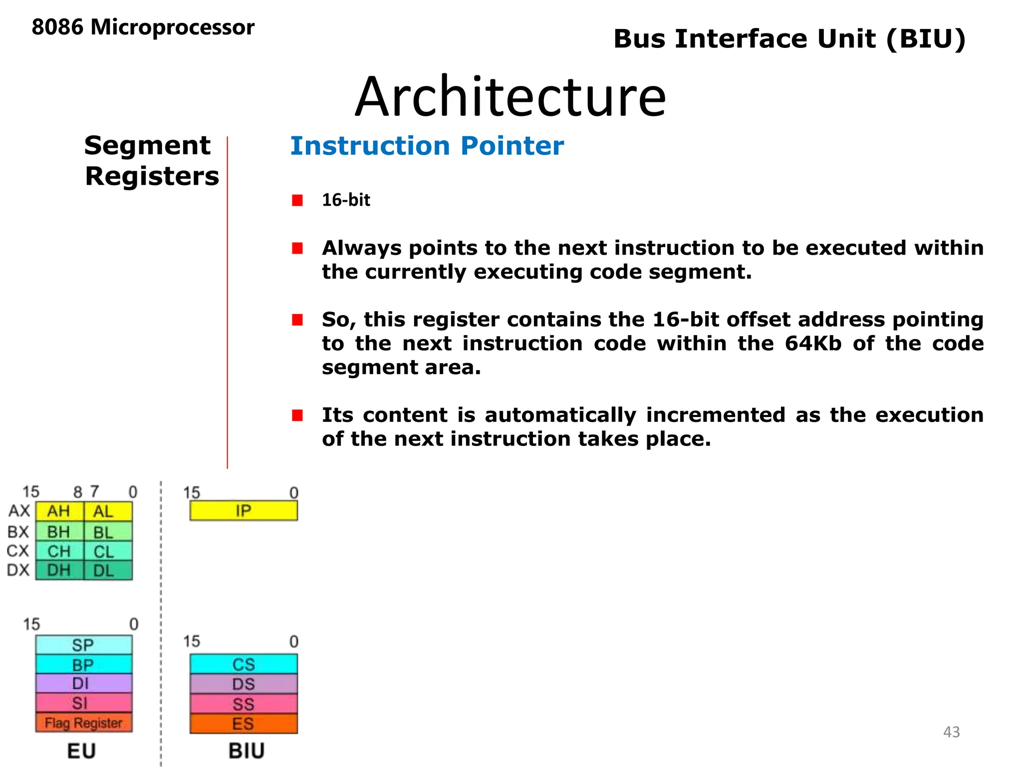 Architecture
8086 Microprocessor
43
Bus Interface Unit (BIU)
Segment
Registers
Instruction Pointer
16-bit
Always points to the next instruction to be executed within
the currently executing code segment.
So, this register contains the 16-bit offset address pointing
to the next instruction code within the 64Kb of the code
segment area.
Its content is automatically incremented as the execution
of the next instruction takes place.
 