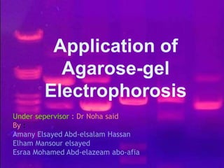 Application of
Agarose-gel
Electrophorosis
Under sepervisor : Dr Noha said
By :
Amany Elsayed Abd-elsalam Hassan
Elham Mansour elsayed
Esraa Mohamed Abd-elazeam abo-afia
 