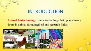 Application of animal biotechnology