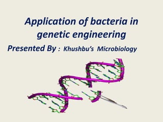Application of bacteria in
genetic engineering
Presented By : Khushbu’s Microbiology
 