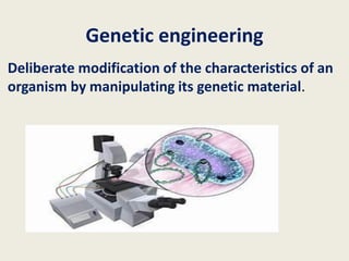 Application of bacteria in engenetic engineering.pptx voice.pdf