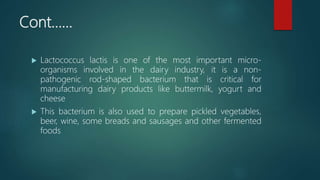 Lactics Micro Application of bio informatics by sohail | PPTX