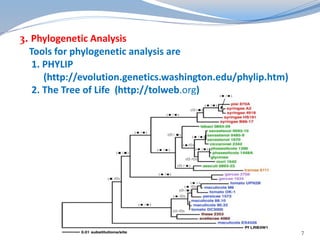 3. Phylogenetic Analysis 
Tools for phylogenetic analysis are 
1. PHYLIP 
(http://evolution.genetics.washington.edu/phylip.htm) 
2. The Tree of Life (http://tolweb.org) 
7 
 
