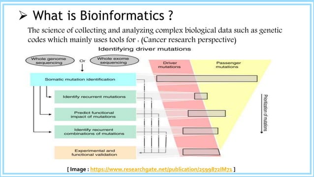 Role of Bioinformatics in Cancer Research | PPT