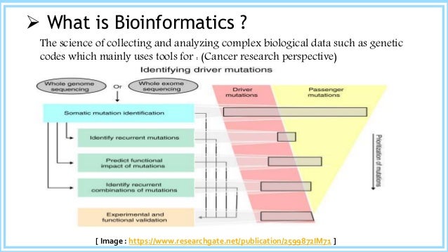 Role of Bioinformatics in Cancer Research