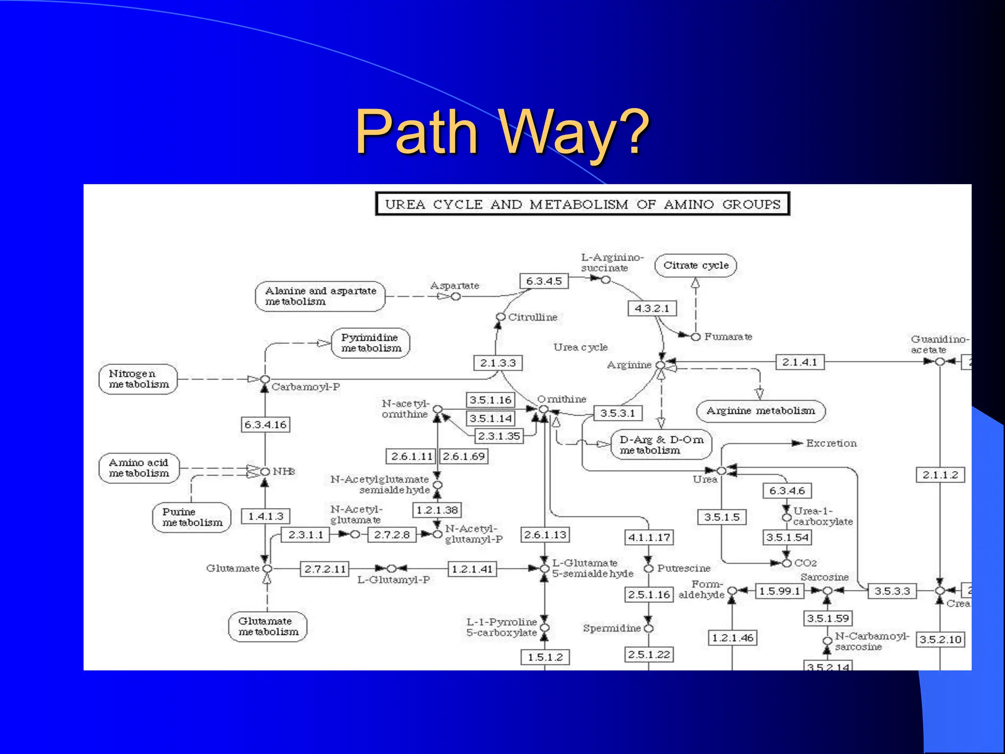 Path Way?
 