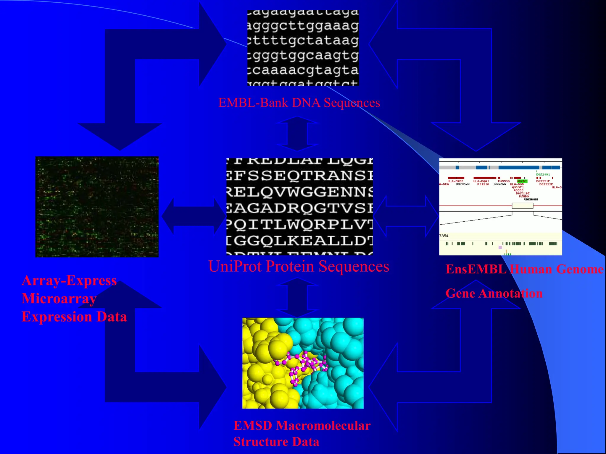 EMBL-Bank DNA Sequences
UniProt Protein Sequences
EMSD Macromolecular
Structure Data
Array-Express
Microarray
Expression Data
EnsEMBL Human Genome
Gene Annotation
 