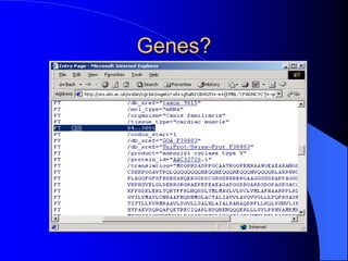 Genes?
 