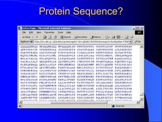 Protein Sequence?
 