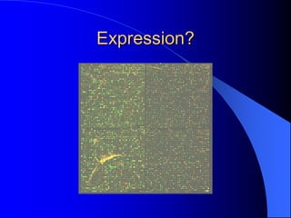 Expression?
 