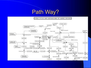 Path Way?
 
