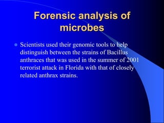 Forensic analysis of
microbes
 Scientists used their genomic tools to help
distinguish between the strains of Bacillus
anthraces that was used in the summer of 2001
terrorist attack in Florida with that of closely
related anthrax strains.
 