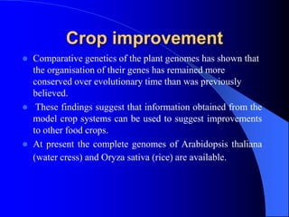 Crop improvement
 Comparative genetics of the plant genomes has shown that
the organisation of their genes has remained more
conserved over evolutionary time than was previously
believed.
 These findings suggest that information obtained from the
model crop systems can be used to suggest improvements
to other food crops.
 At present the complete genomes of Arabidopsis thaliana
(water cress) and Oryza sativa (rice) are available.
 