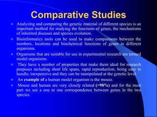 Comparative Studies
 Analyzing and comparing the genetic material of different species is an
important method for studying the functions of genes, the mechanisms
of inherited diseases and species evolution.
 Bioinformatics tools can be used to make comparisons between the
numbers, locations and biochemical functions of genes in different
organisms.
 Organisms that are suitable for use in experimental research are termed
model organisms.
 They have a number of properties that make them ideal for research
purposes including short life spans, rapid reproduction, being easy to
handle, inexpensive and they can be manipulated at the genetic level.
 An example of a human model organism is the mouse.
 Mouse and human are very closely related (>98%) and for the most
part we see a one to one correspondence between genes in the two
species.
 
