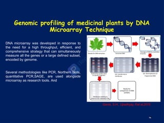 Application of Biotechnology for Improving Medicinal Plants.pptx