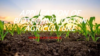 APPLICATION OF
BIOTECHNOLOGY IN
AGRICULTURE
MERIN ALICE GEORGE
 