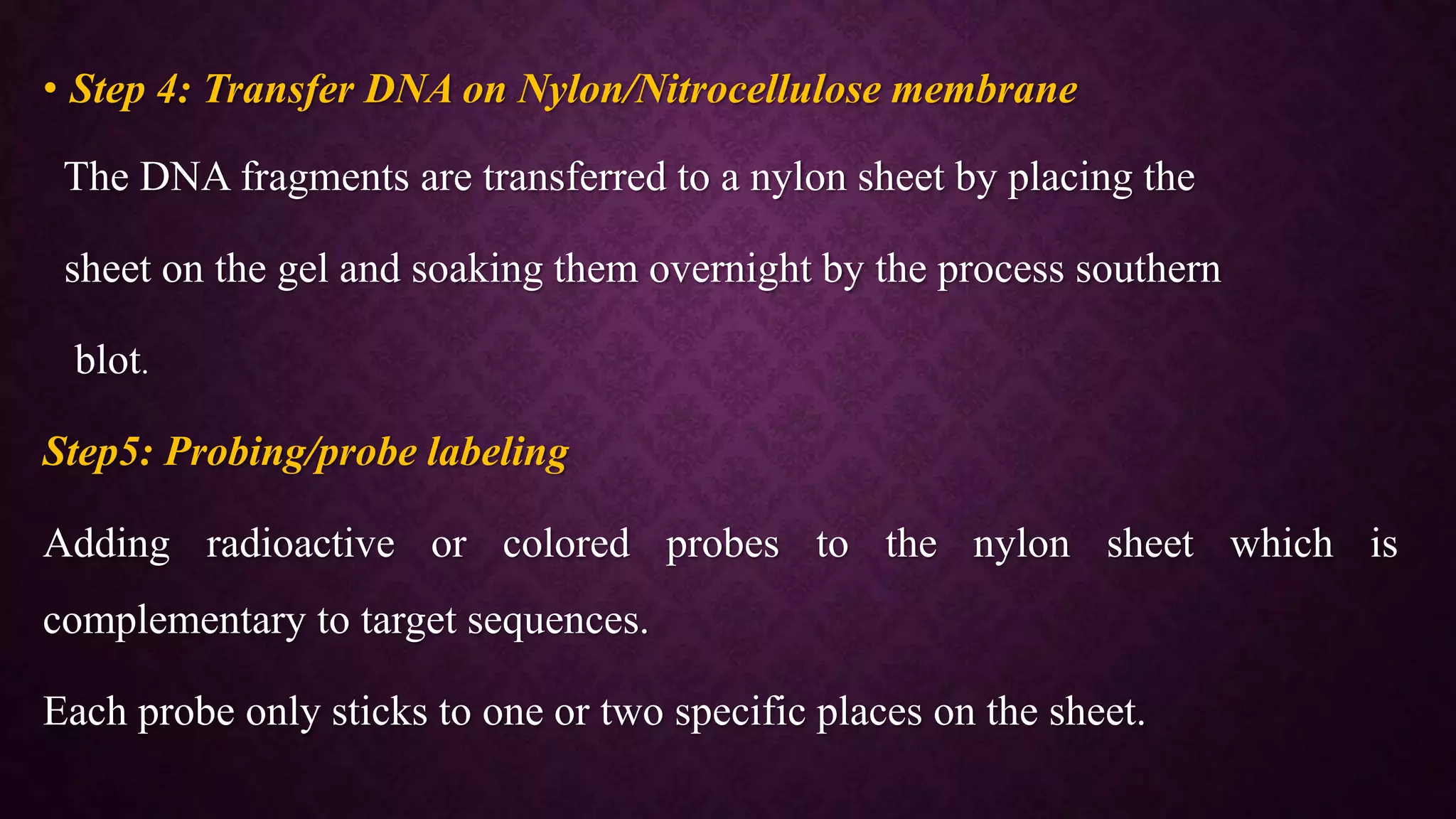 Application of biotechnology in forensic | PPTX