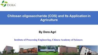 Chitosan oligosaccharide (COS) and Its Application in
Agriculture
By Dora Agri
Institute of Processing Engineering, Chinese Academy of Sciences
 