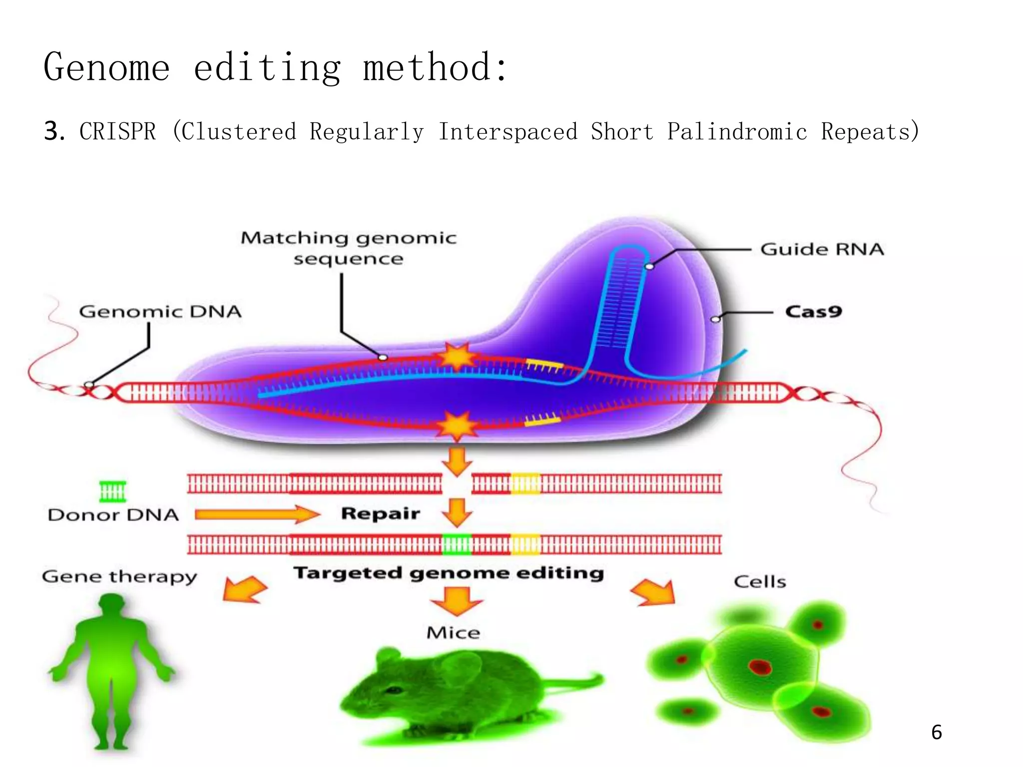 Application of crispr in cancer therapy | PPTX