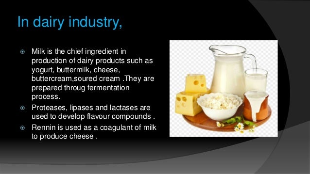Application of enzymes in food industries