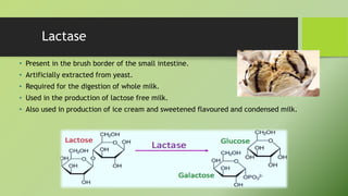Application of enzymes in food industry | PPTX