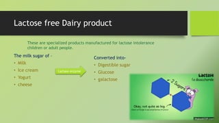Application of enzymes in food industry | PPTX