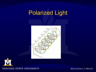 Polarized Light
 