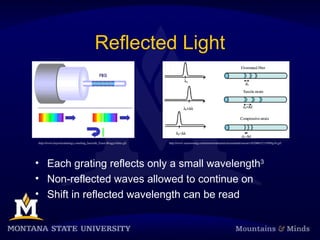 Reflected Light
• Each grating reflects only a small wavelength3
• Non-reflected waves allowed to continue on
• Shift in reflected wavelength can be read
http://www.bayertechnology.com/img_basis/de_Faser-Bragg-Gitter.gif http://www.sensorsmag.com/sensors/data/articlestandard/sensors/162006/321349/fig1b.gif
 