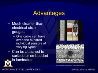 Advantages
• Much cleaner than
electrical strain
gauges
– One cable can have
over one hundred
individual sensors of
varying types4
• Can be attached to
surface or embedded
in laminates
http://www.smartfibres.com/images/FBG_vs_Electrical_Strain.jpg
http://www.smartfibres.com/images/Optical_Fiber_Sensor_in%20Comp.jpg
 
