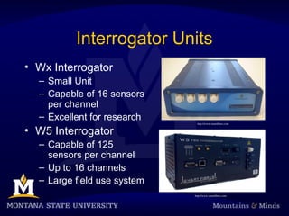 Interrogator Units
• Wx Interrogator
– Small Unit
– Capable of 16 sensors
per channel
– Excellent for research
• W5 Interrogator
– Capable of 125
sensors per channel
– Up to 16 channels
– Large field use system
http://www.smartfibres.com
http://www.smartfibres.com
 
