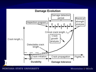 Application of Fiber Optic Strain Gaging in Wind.ppt