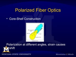 Polarized Fiber Optics
• Core-Shell Construction
Polarization at different angles, strain causes
shift
 