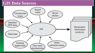 Application of gis for forest study | PPTX