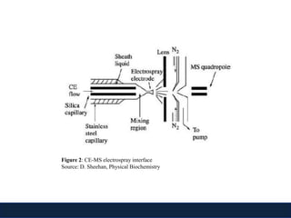 Application of Mass Spectrometry In Biotechnology | PPTX