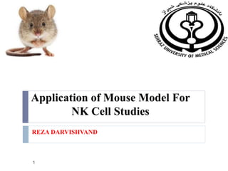 Application of Mouse Model For
NK Cell Studies
REZA DARVISHVAND
1
 