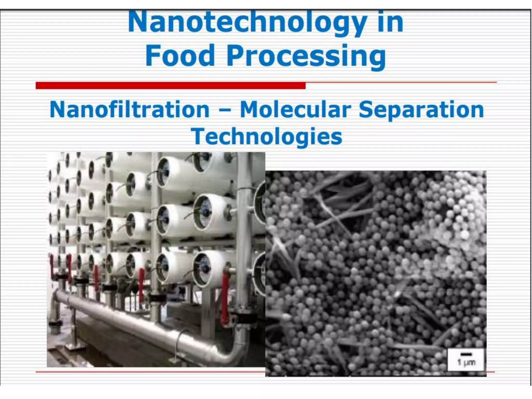 Application of nanotechnology in food processing PPT