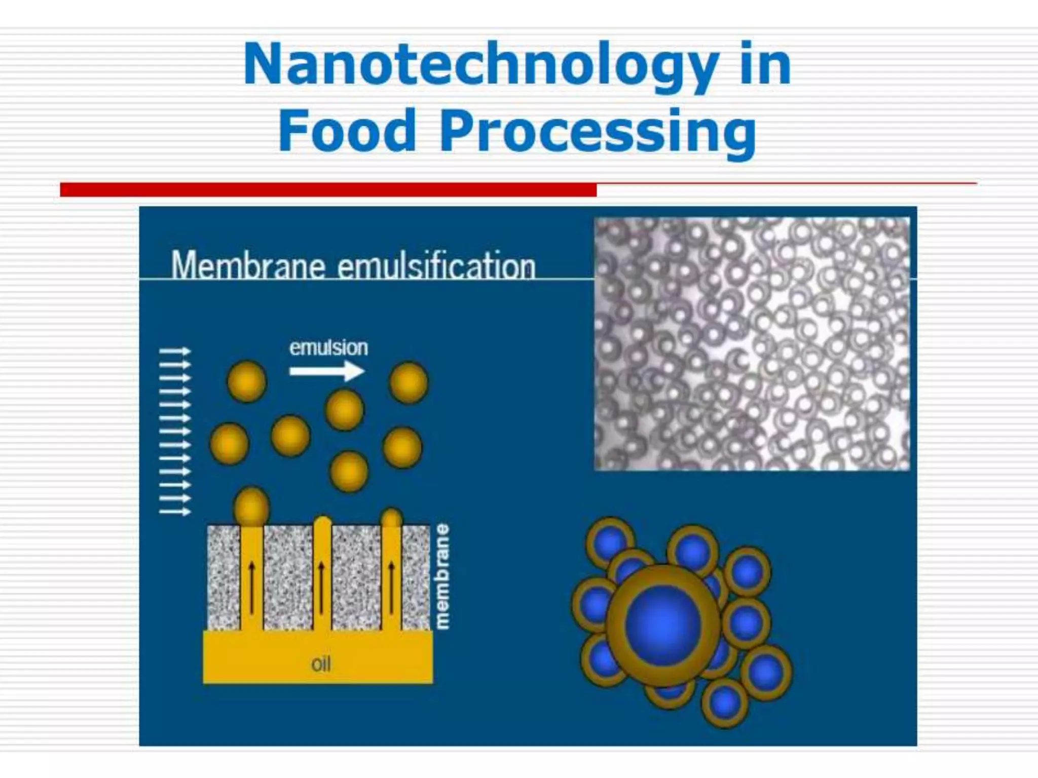 Application of nanotechnology in food processing PPT