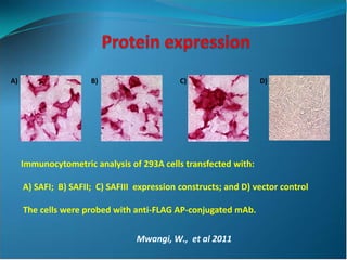 Application of Novel Delivery systems for ASFV antigens