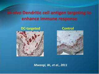 Application of Novel Delivery systems for ASFV antigens