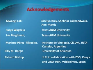 Application of Novel Delivery systems for ASFV antigens